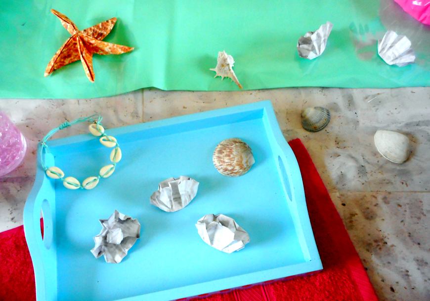 Seashells on the beach