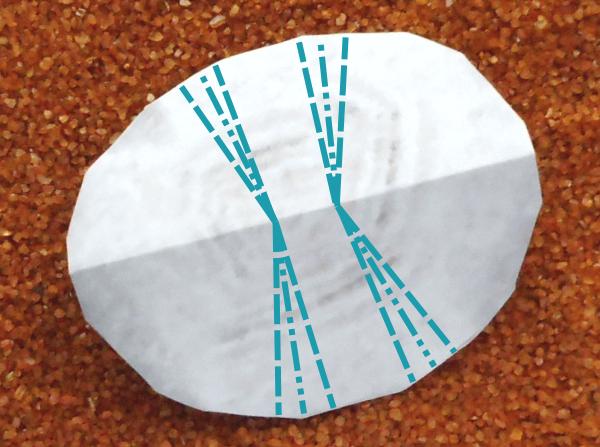 Origami schelp maken Origami schelp maken