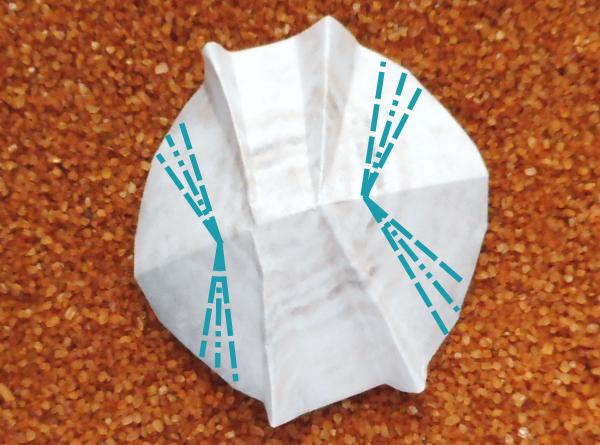 Origami schelp maken Origami schelp maken