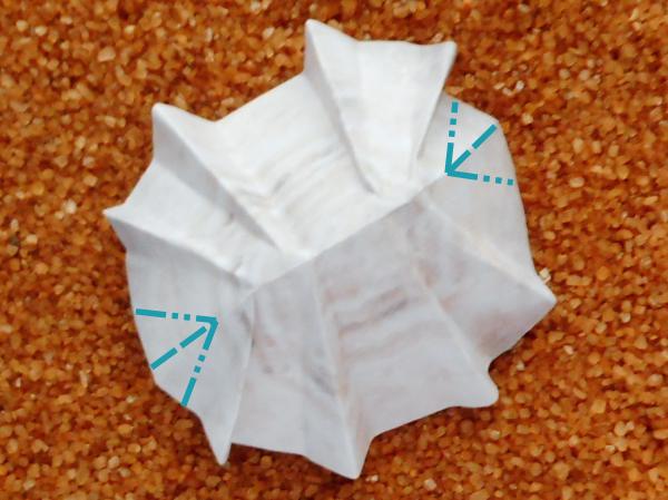 Origami schelp maken Origami schelp maken