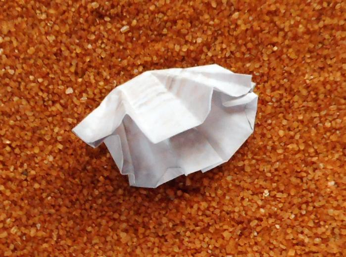 Origami schelp Origami schelp