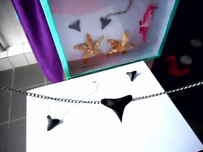 Haaientand ketting Haaientand ketting
