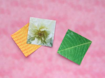 papiertjes om een eenvoudige bloem te maken