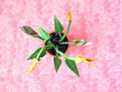 top view of a simple yet stylish origami flower arrangement