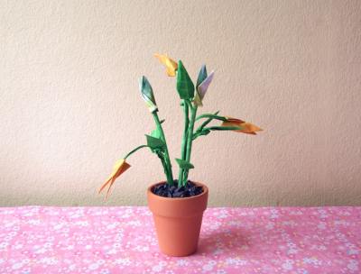 Origami bloemen