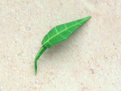 cute little origami leaf and stem