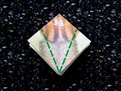 een origami slak maken een origami slak maken