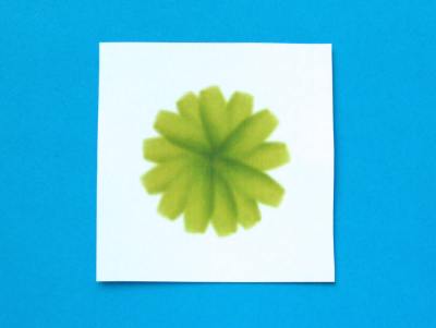 Fold Origami Snowdrops Fold Origami Snowdrops