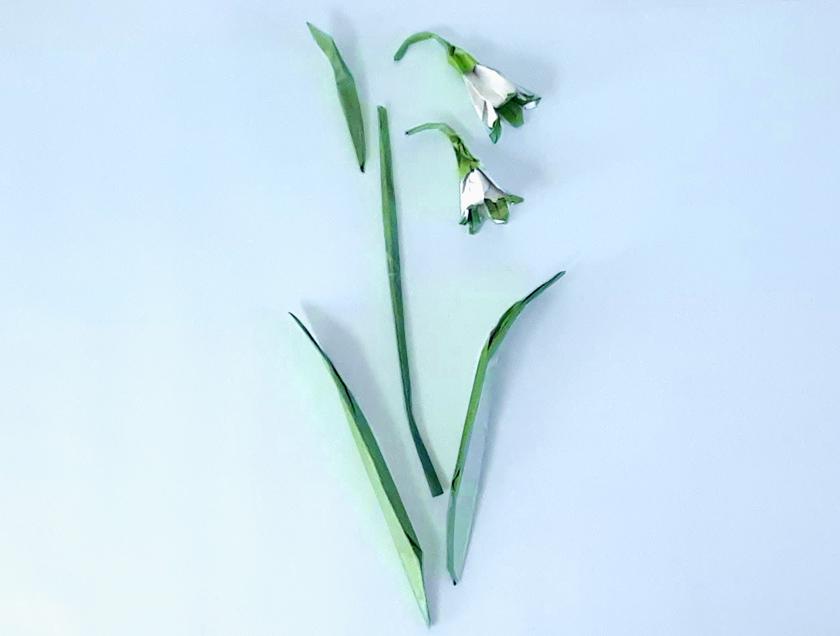 Make paper Snowflake Flowers