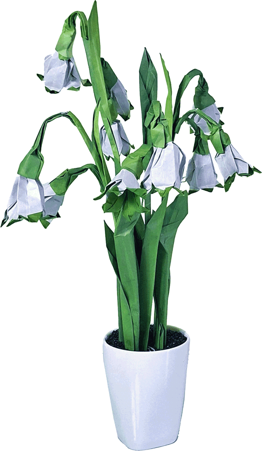 Origami Snowflake Flowers