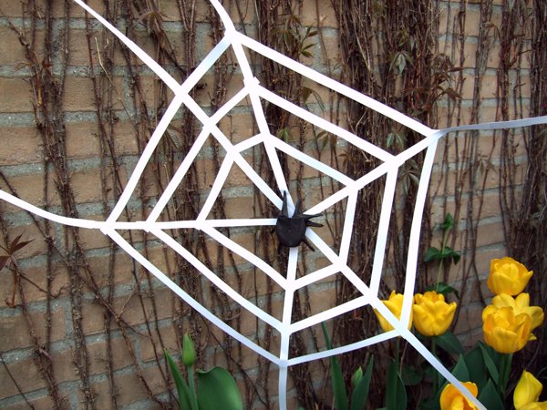 origami spider in a large web