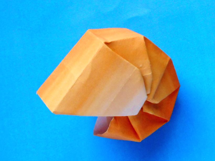 Schelp van papier Schelp van papier