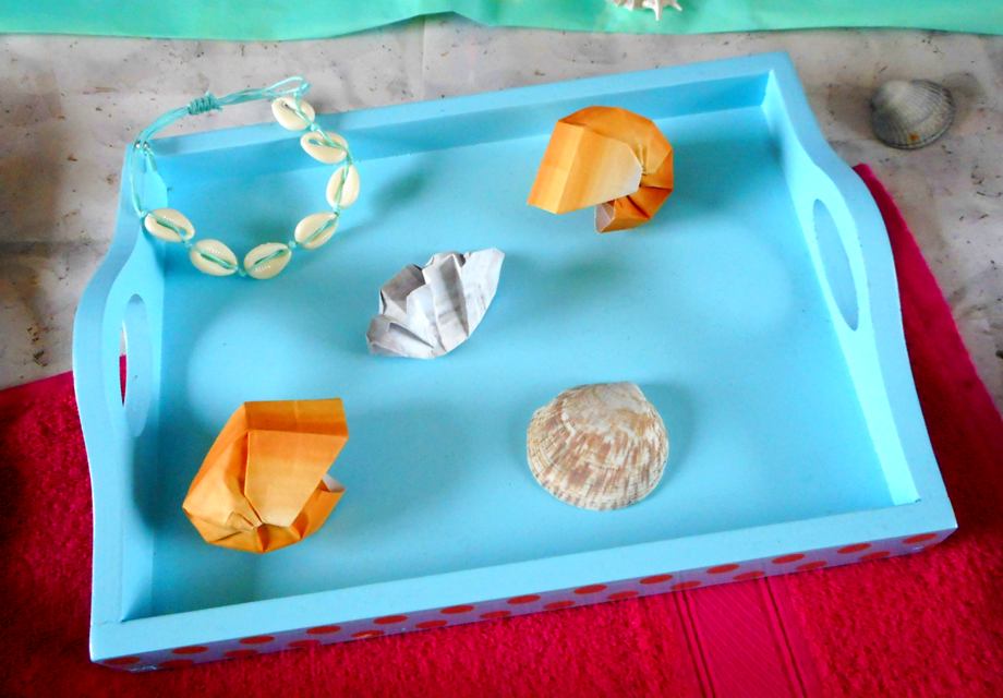 Schelpen in een bakje Schelpen in een bakje