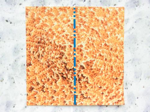 Een zeester van papier maken Een zeester van papier maken