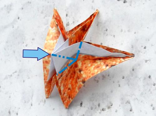 Een zeester van papier maken Een zeester van papier maken