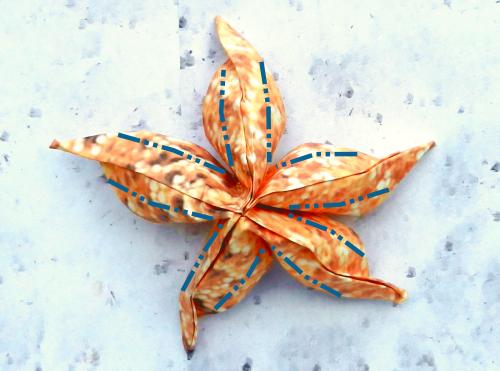 Fold an Origami Starfish