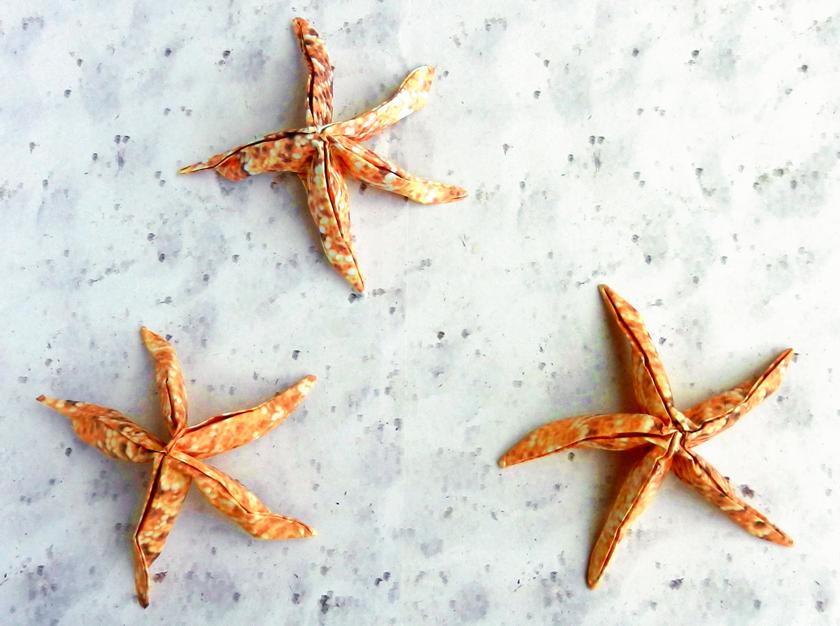 Origami Starfish