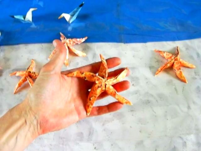 Starfish found at the beach