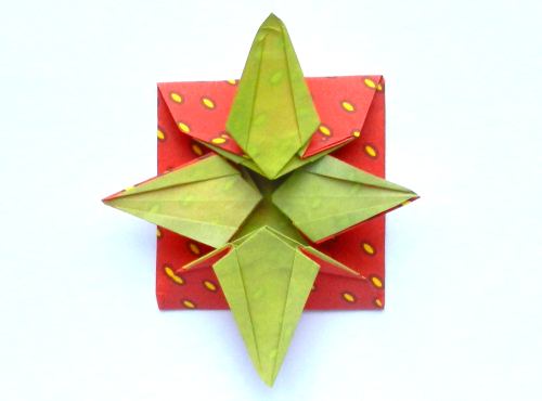 origami strawberry gift box folding instructions