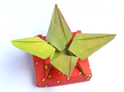 origami strawberry gift box folding instructions