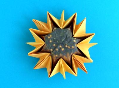 how to make an origami sunflower how to make an origami sunflower