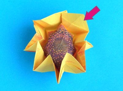 Fold an Origami Sunflower