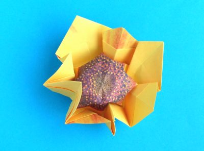 Fold an Origami Sunflower Fold an Origami Sunflower