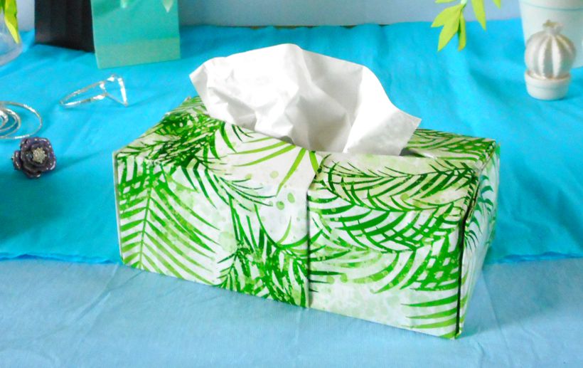 Tissue Box Tissue Box