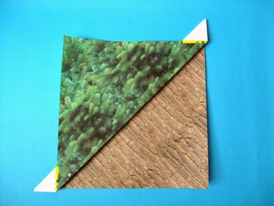 diagrams for an origami tree diagrams for an origami tree