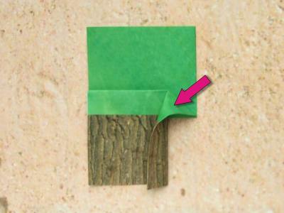uitleg om een boom van papier te maken uitleg om een boom van papier te maken