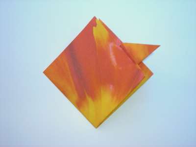 diagram for an origami tulip diagram for an origami tulip