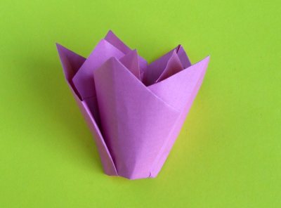 Origami Tulip