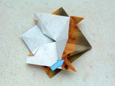 origami turtle diagrams