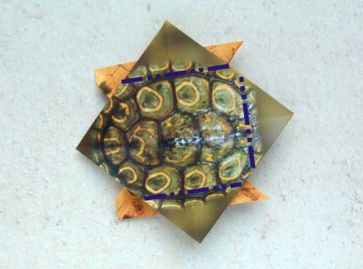 een origami schildpad van papier maken een origami schildpad van papier maken