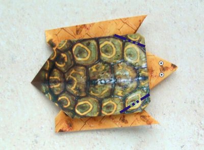 een origami schildpad van papier maken een origami schildpad van papier maken