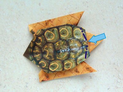een origami schildpad van papier maken een origami schildpad van papier maken