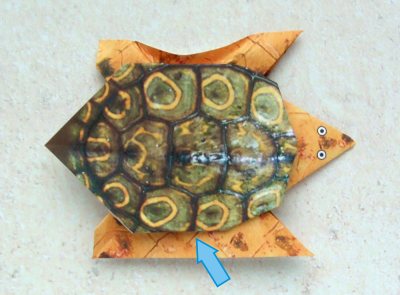 een origami schildpad van papier maken een origami schildpad van papier maken