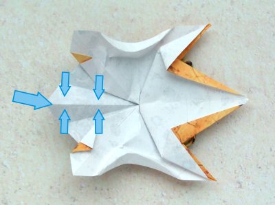 origami turtle diagrams