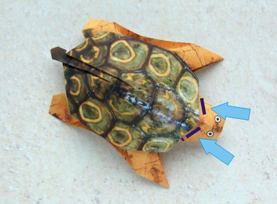 een origami schildpad van papier maken