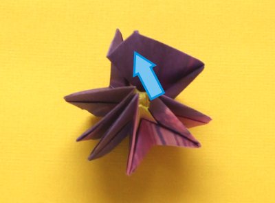 diagrams for folding an origami violet flower