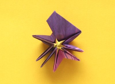 diagrams for folding an origami violet flower