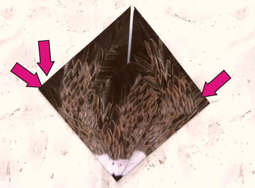 Origami Vulture folding instructions Origami Vulture folding instructions