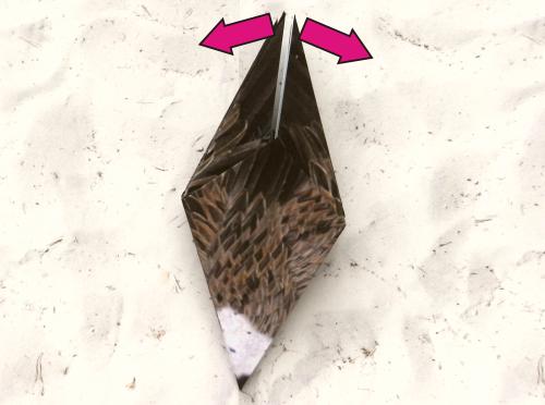 Origami Vulture folding instructions Origami Vulture folding instructions