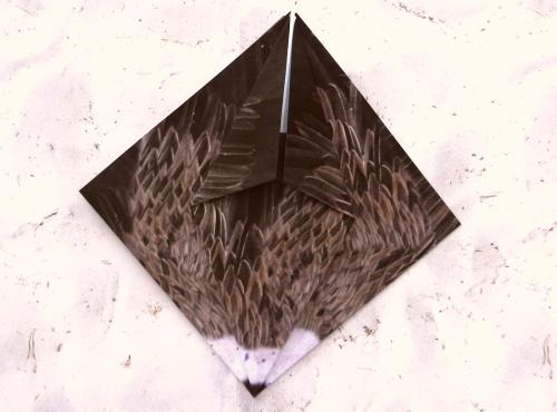 Origami Vulture folding instructions Origami Vulture folding instructions