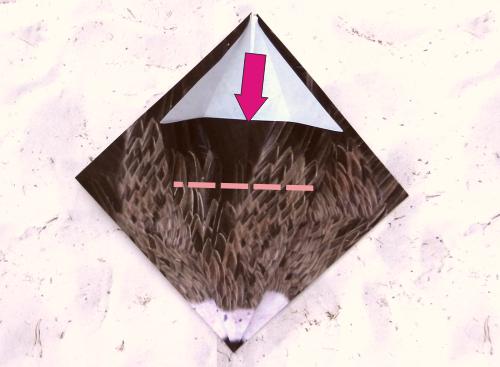 Origami Vulture folding instructions Origami Vulture folding instructions