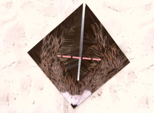 Origami Vulture folding instructions Origami Vulture folding instructions
