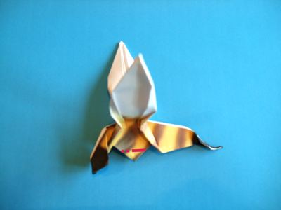 origami wesp