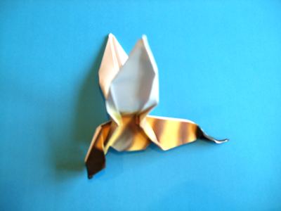 origami wesp