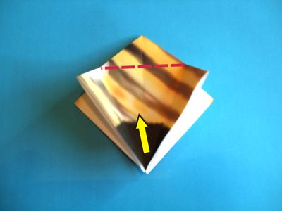 origami wesp origami wesp