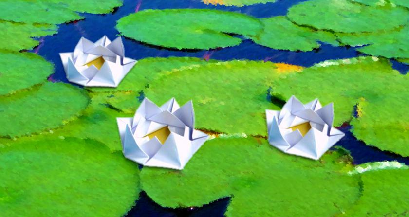 Origami Water Lilies